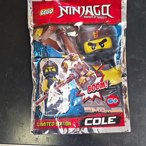 Lego ninjago cole - ninjago, minifigure