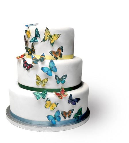 Cake toppers bright - cake,