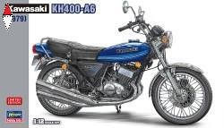 Hasegawa kawasaki - hasegawa,