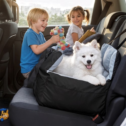 Dog car seat - car, belt