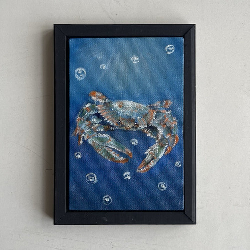 Framed miniature crab - miniature,
