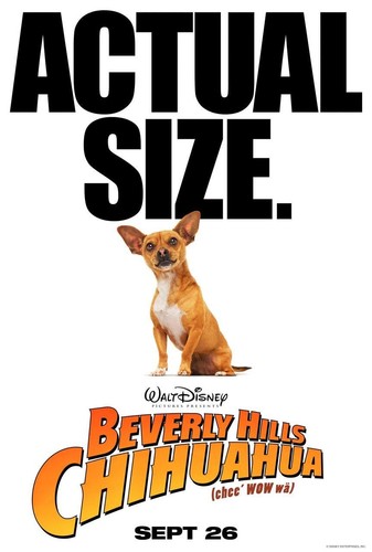 Beverly hills chihuahua 2008 - hills,