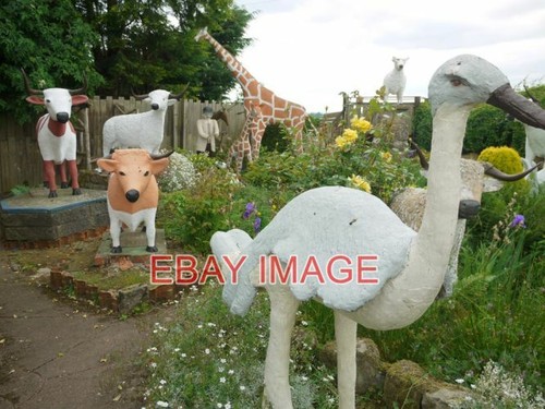 Photo the cement menagerie - ,