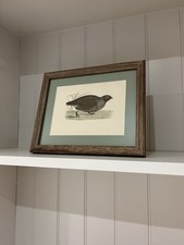 PARTRIDGE - History Of British