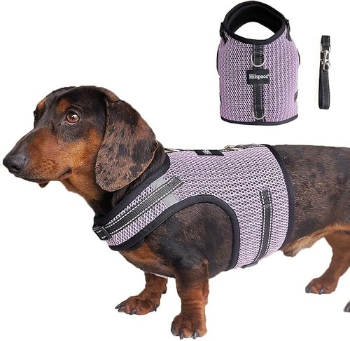 New mini dachshund harness - mini,