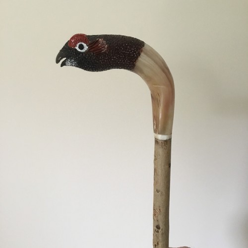 Rams horn shepherds crook - shepherds,
