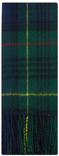 Stewart hunting modern - modern, tartan
