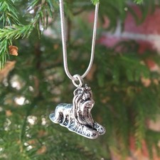 Yorkshire Terrier Yorkie Dog