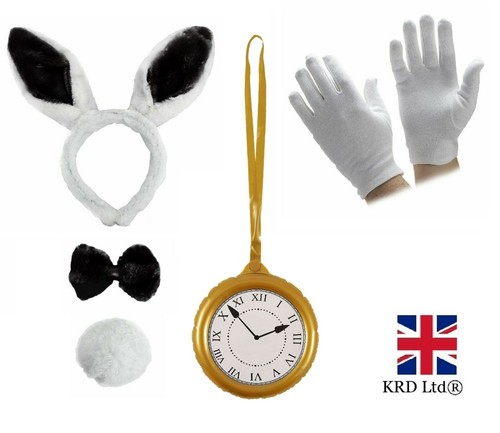 White rabbit costume hare - rabbit,