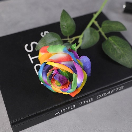 Rainbow colorful artificial - colorful,