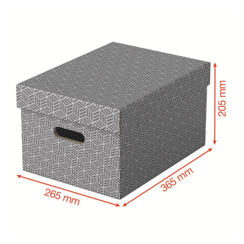 Esselte home storage - storage, box