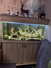 4ft x 2ft Fish Tank with Stand and Filter and Pump Fish Tank