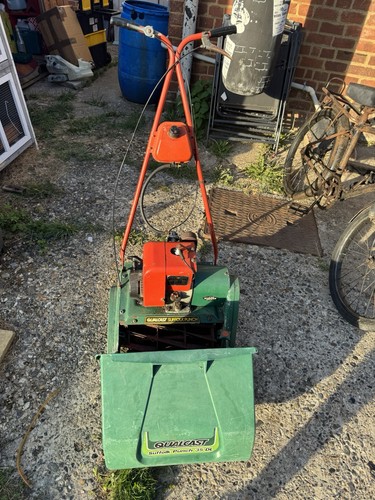 Suffolk colt super punch - colt,
