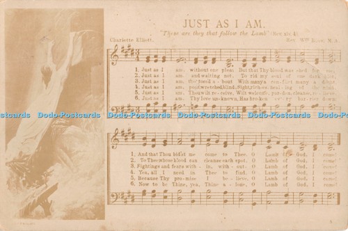 R467019 just am - as, charlotte