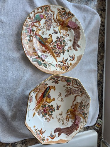 Olde aves royal - royal, derby