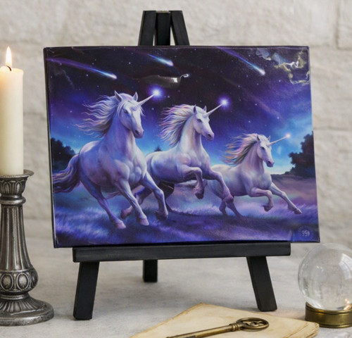 Anne stokes unicorn shooting - anne,