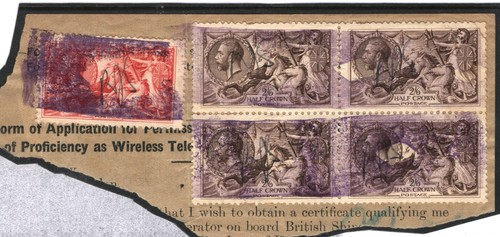 Seahorse block of - *block,