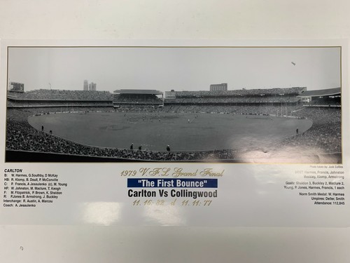 Carlton collingwood framed - collingwood,