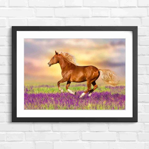 Running horse purple - purple, field
