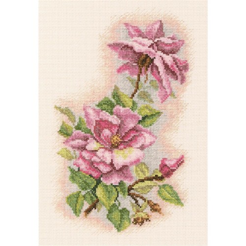 Rto counted cross - stitch, kit