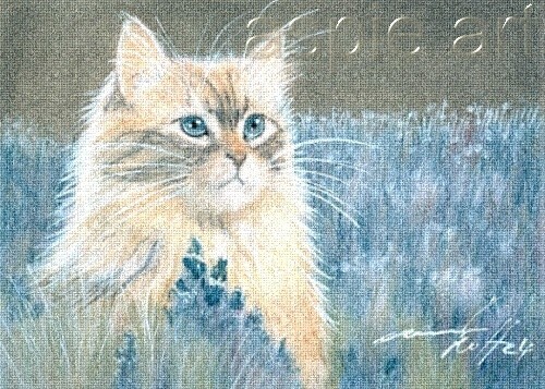 Aceo print limited edition atc - print,
