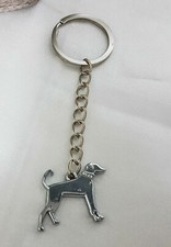 Pinscher / Mini Pinscher Dog /