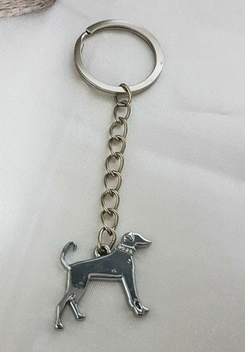 Pinscher mini dog - mini, /