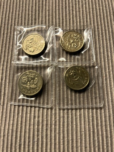 Old flower floral pound - old, £1