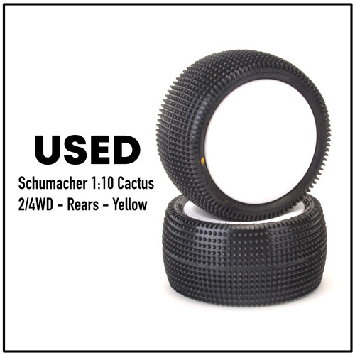 Schumacher cactus - schumacher,