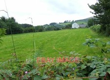 PHOTO  GRAZING LAND