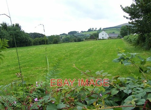 Photo grazing land - photo,