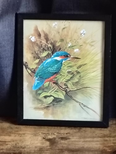 Framed print kingfisher - framed,