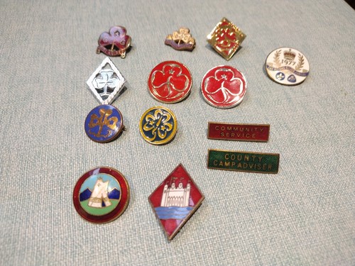 Vintage retro girl guides - retro,