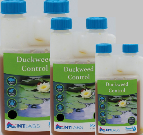 Labs pond duckweed control - nt,