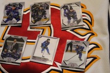 Six Blindside Manchester Storm Ice Hockey Trading Cards