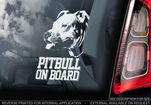 Pitbull car window sticker - car,