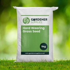 Premium Economy Hard-Wearing Family & Dog Lawn Grass Seed