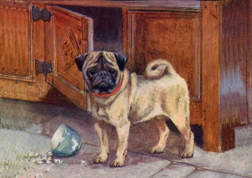 Pug dog greeting card - dog, note