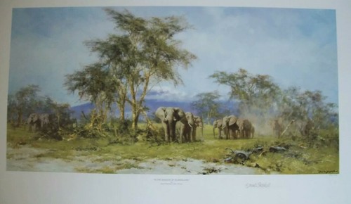 David shepherd limited - shepherd, edition