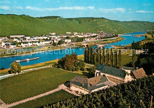 Zeltingen rachtig panorama - zeltingen-rachtig,