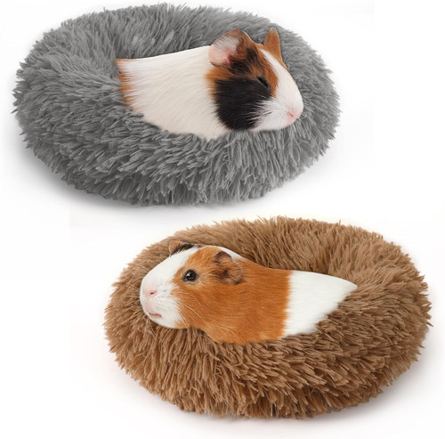 Pack winter guinea pig - pig, beds