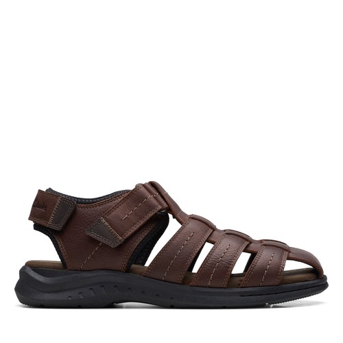 Clarks walkford fish 26171794 - fish,
