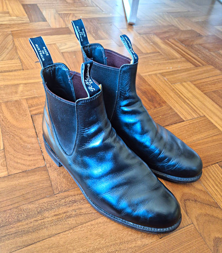 Williams men s - williams, men’s
