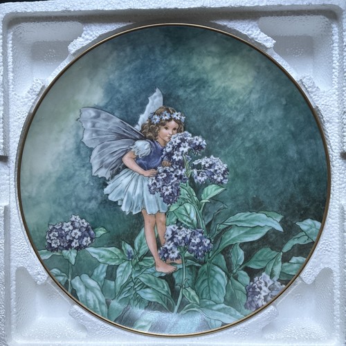 Flower fairies the heliotrope - flower,
