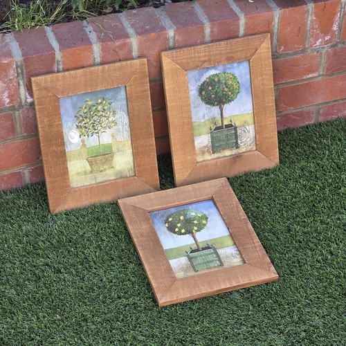 Set country topiary - of, 3