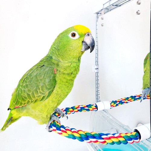 Acrylic bird mirror with - acrylic,