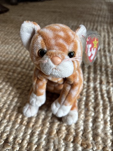 Amber the ginger cat - cat, beanie