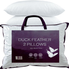Duck Feather & Down Pillows