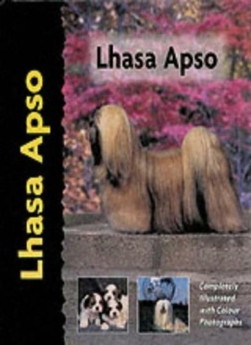Lhasa apso dog breed - lhasa,
