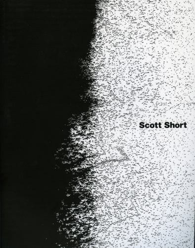 Scott short 2010 - short,
